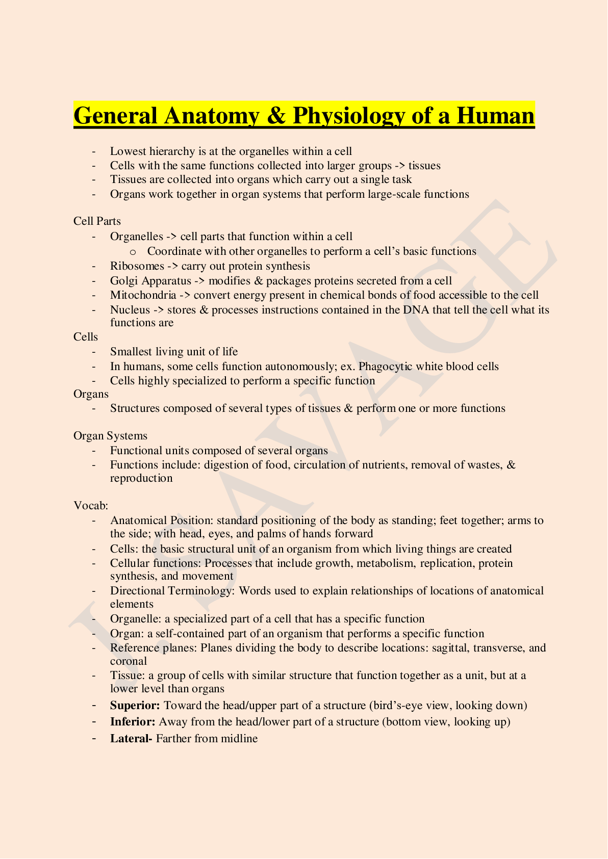 Preview image for TEAS 6 General Anatomy & Physiology of a Human